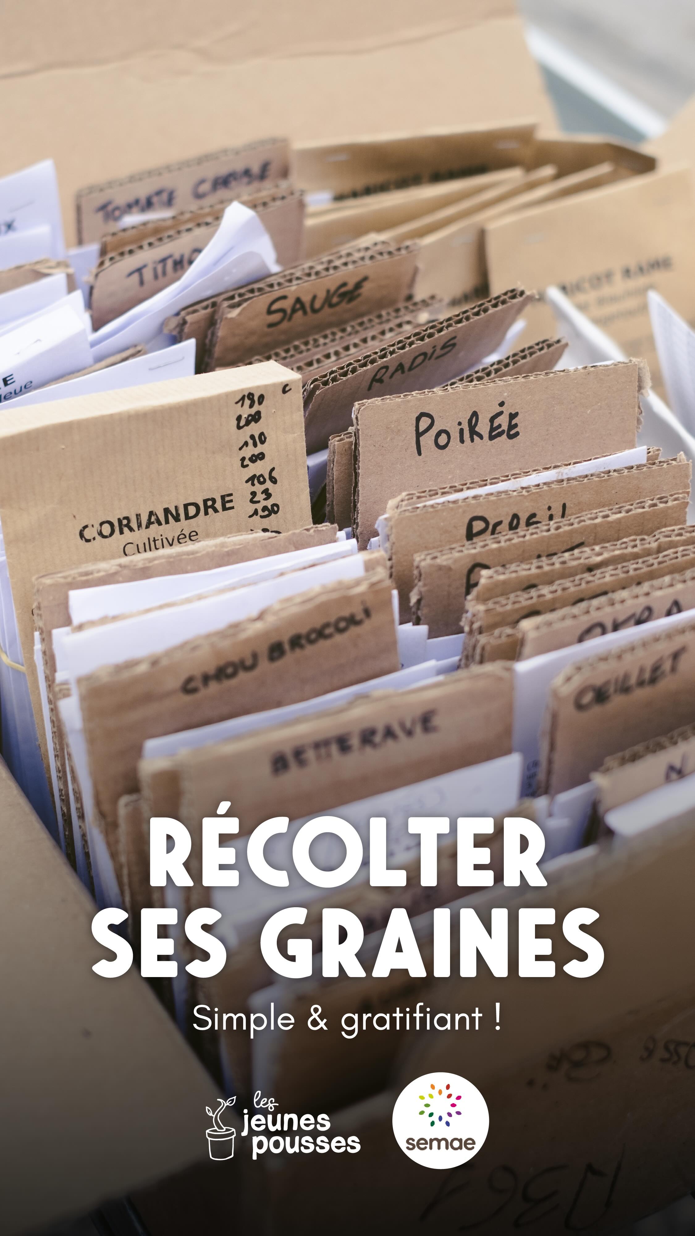🌱 Récolter ses graines, c’est simple (et gratifiant).
Laisser sécher, récolter au bon moment, trier, conserver…
Quelques gestes suffisent pour garder ses graines d’une saison à l’autre.
Un petit pas vers plus d’autonomie au jardin, et une belle façon de prolonger la vie de vos plantes 🌾
▶️ Dans la prochaine vidéo, on vous montre comment réussir vos semis, même en ville !
🎥 Vidéo réalisée en partenariat avec @semae.semencesetplants