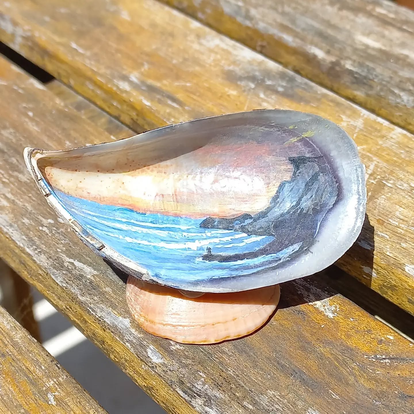 Arrifana (Kangaroo) in a shell! 😍 Beautiful present from a friend! Thx Renato!
.
.
.
#arrifana #shell #friend #goodvibes #homespot #waves #aljezur #algarve #portugal #igers #kanalusurfhouse #surfingeveryday