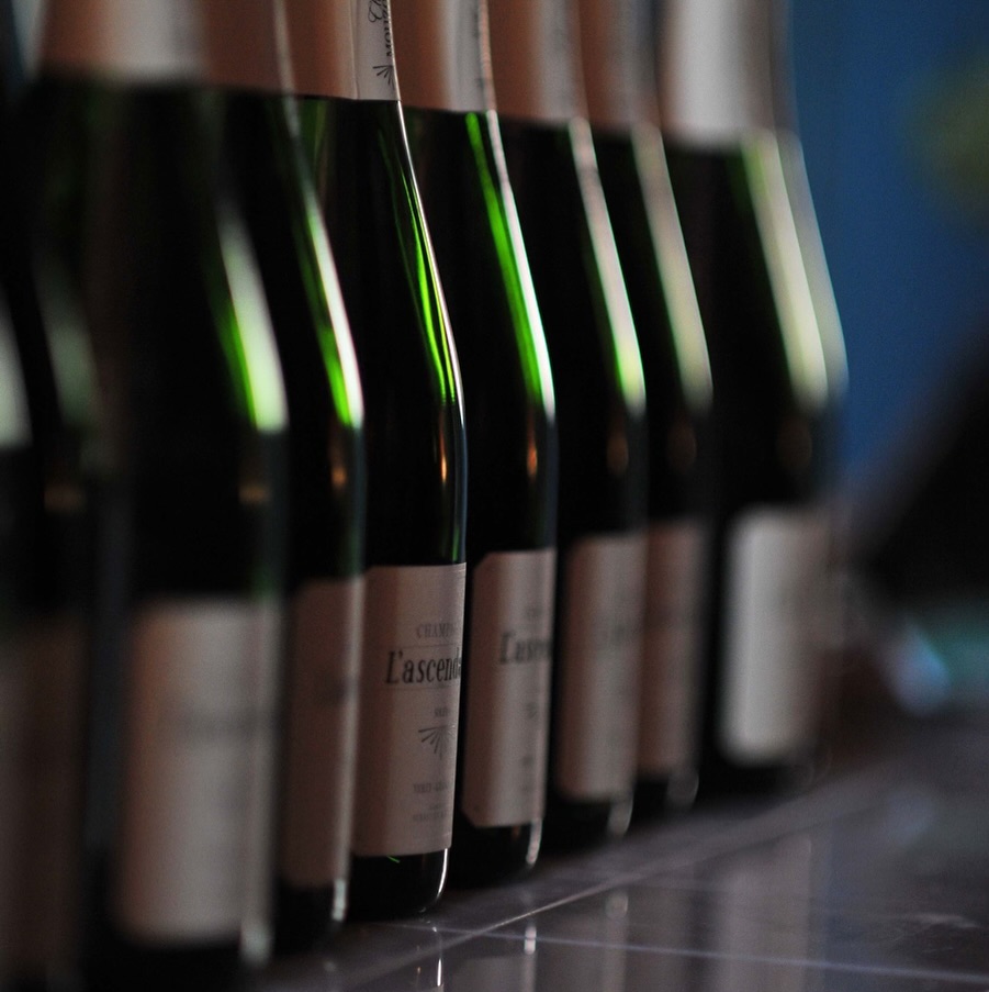 Bubbles Bubbles Bubbles 🫧🫧🫧
#mouzonleroux