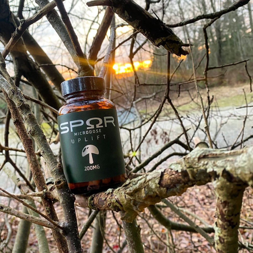 Mushroomin' into the new year with gratitude, positivity, and all the fungi-filled fun a person could ask for! Happy New Year! 🍄🌟
#happynewyear #2023 #fungi