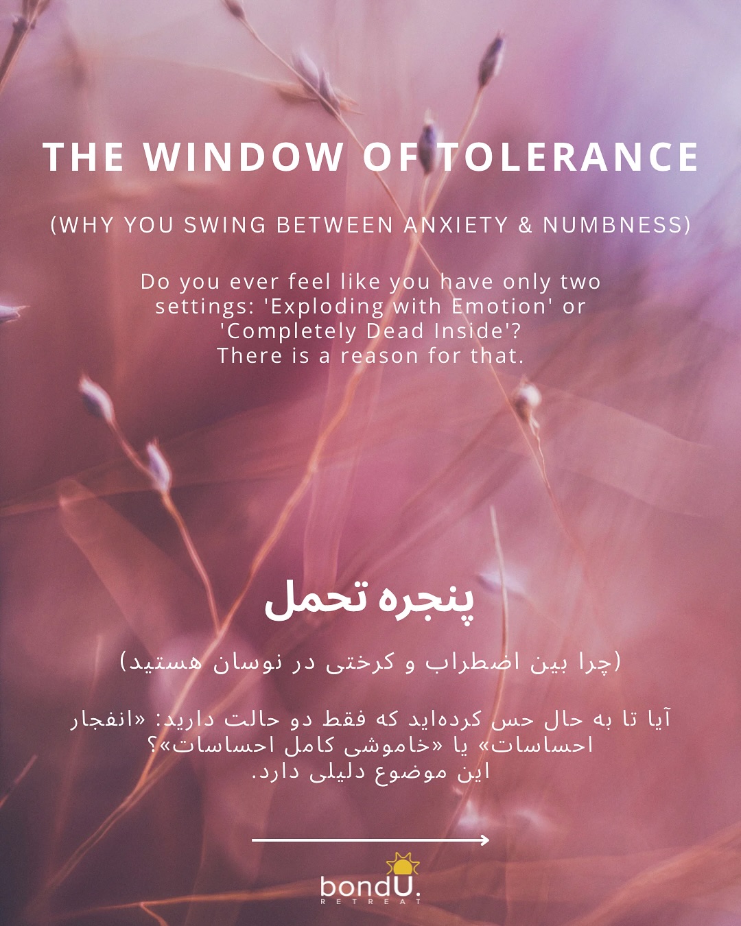“Why did I just scream over a dirty spoon?”
We often shame ourselves for our reactions. We think, “I’m just an angry person” or “I’m too sensitive.”
But in somatic therapy, we don’t look at the reaction; we look at the Window of Tolerance.
Think of your Window as your emotional bandwidth. When it’s wide, you have a buffer zone.
You can handle a rude email, traffic, or a mess with relative calm.
But when you’ve been running on survival mode for too long, your window shrinks.
A Shrunk Window = Zero Buffer. The distance between “I’m okay” and “I’m exploding” disappears. The dirty spoon wasn’t the problem. The problem was that your nervous system was already 99% full, and the spoon was the 1% that spilled you over.
How to spot the edges of your window: Before you snap (Hyper-arousal) or shut down (Hypo-arousal), your body usually gives a warning signal.
* The Yellow Zone: Sound becomes sharper. Your jaw clenches. You stop blinking as often. You feel a sudden urge to run away.
If you can catch yourself in the Yellow Zone, you can widen the window.
Swipe to learn the tools for each state. 👉
Question: When your window closes, do you tend to get loud (yelling/anxious) or quiet (numbing/ghosting)?
Let me know below. 👇
#windowoftolerance #nervoussystemregulation #somaticawareness #burnoutrecovery #emotionalregulation #traumaresponse #cptsd #polyvagaltheory #mentalhealthmatters #selfcompassion
#پنجره_تحمل #سیستم_عصبی #تراپی #روانشناسی #خشم #اضطراب #افسردگی #خودشناسی #بهبودی #سلامت_روان