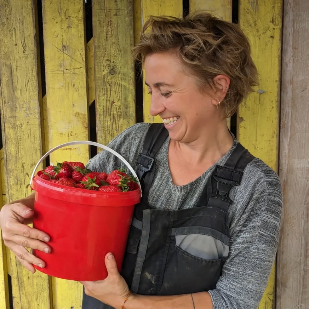🍓🍓🍓
Tis de moment! 🚀
De tunnels hangen nu echt wel vol sappige zoete biologische aardbeien, een puur genot! Mei en juni is hét biologisch aardbeien seizoen.
Tis te nemen of te laten!
Vanaf vandaag pluk je vanaf 3kg aan €10/kg 💃🕺
Ideaal om je voorraad bio bezen in te slaan. 🙏
Onze aardbeien zijn geteeld met pure liefde en toewijding.
Zonder pesticiden, fungiciden, insecticide en andere chemie.
Puur natuur ☘️
Vandaag, morgen en maandag open!
🍓🍓🍓