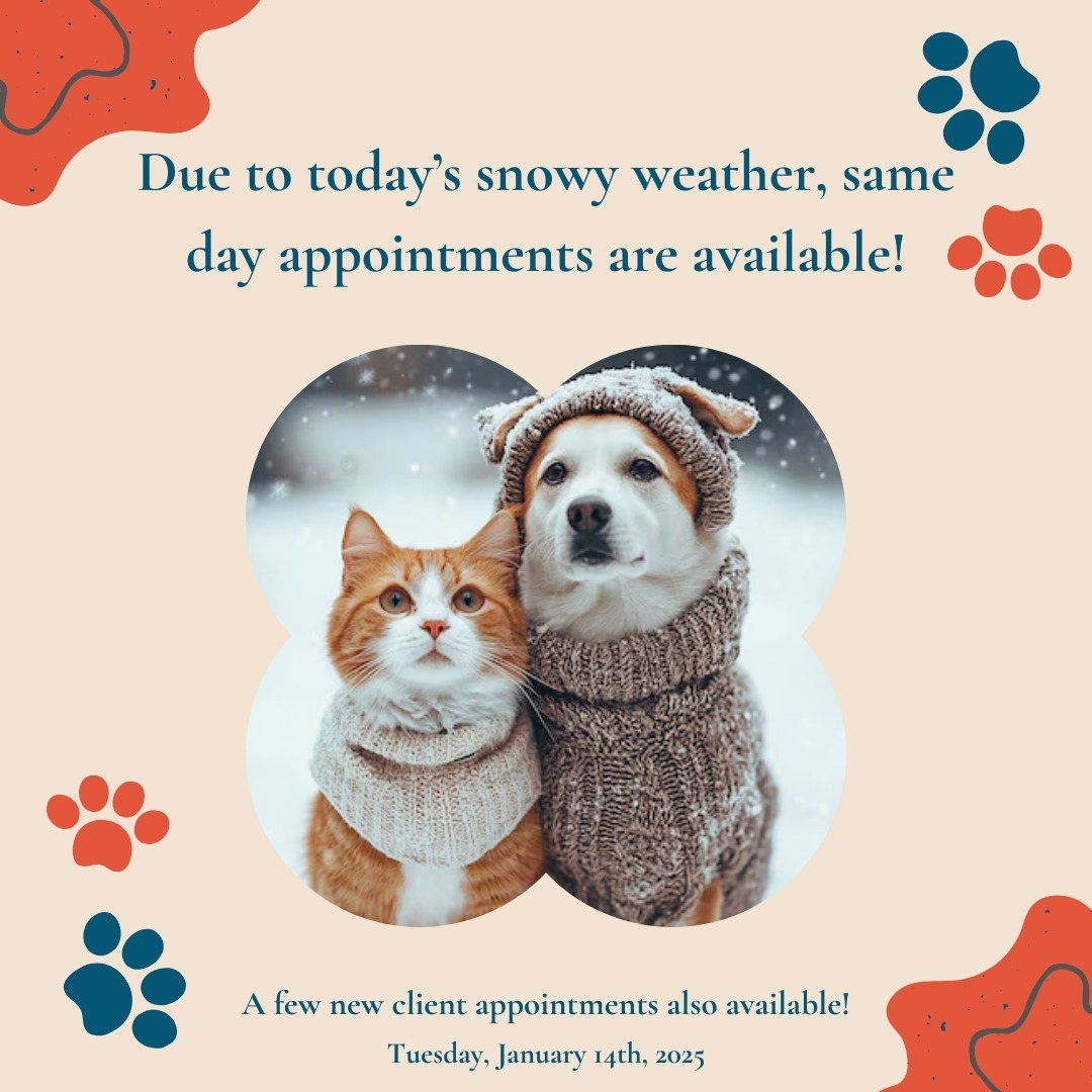 Give us a call at 773-904-8724 :)