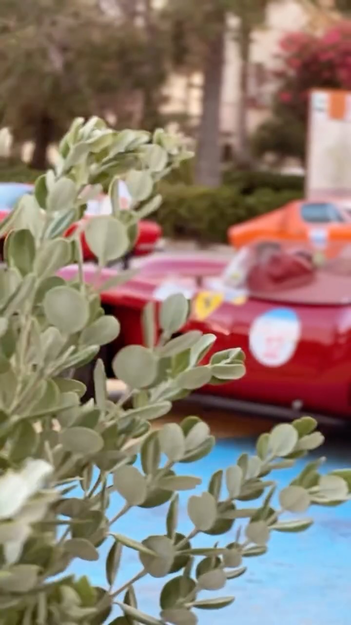 Chiudiamo questo viaggio dedicato alla 250 TR cambiando punto di vista. Dimenticate il mondo esterno e concentratevi sul legno del volante, sul ticchettio della strumentazione d’epoca e sul riflesso del sole sul lungo cofano scarlatto. 🇮🇹✨
Partecipare alla Trapani-Monte Erice significa questo: vivere il territorio siciliano sia da spettatori, ma soprattutto da protagonisti.
Dal sedile della 250 TR di Carmelo Baieli, la salita verso il borgo medievale non è solo un percorso, è un dialogo continuo tra uomo, macchina e paesaggio.
Dal quel posto di comando, ogni curva, ogni strada, diventa un dialogo tra uomo, macchina e paesaggio.
Ci vediamo al prossimo tornante. La strada è ancora lunga e piena di meraviglie.
#TrapaniMonteErice #Ferrari250TR
3/3