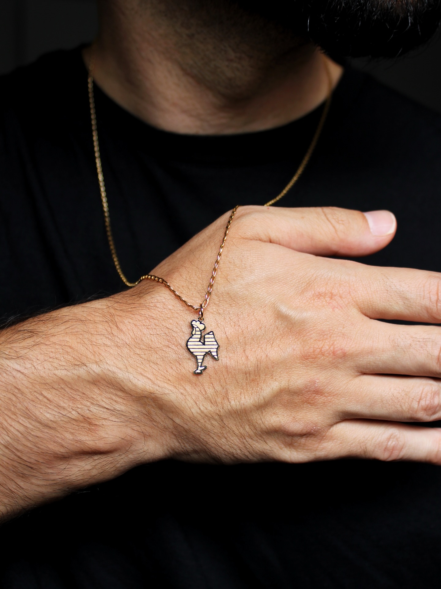 Pingente Galo 🐓 Prata | Semijoia
R$ 95,00 cada
.
.
.
.
.
#galo #atleticomineiro #galaodamassa #cam #belohorizonte