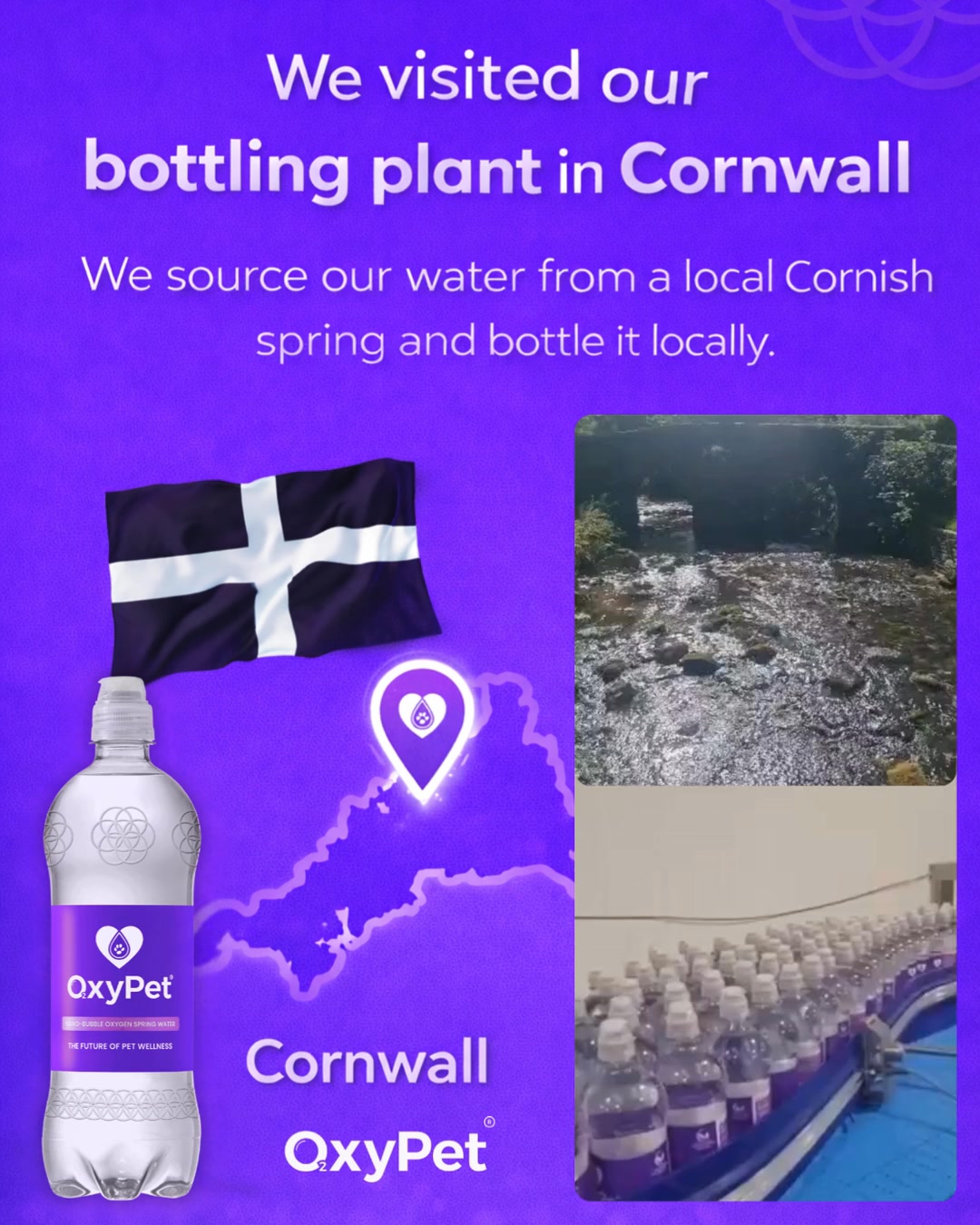 OxyPet Wrapped 2025 💜 We Visited Our Bottling Plant in Cornwall
In 2025, OxyPet visited our bottling plant in Cornwall, where every bottle of OxyPet starts its journey with pristine natural spring water.
OxyPet begins with Cornish spring water, then it is enhanced using stable nano-bubble oxygen technology to create a new category of pet wellness:
functional hydration support.
That means every bottle delivers:
• Superior hydration
• Over 10× more dissolved oxygen
• Daily oxygen support
• Enhanced vitality
The water is bottled locally, then sealed to preserve the stable nano-oxygen bubbles, ensuring the oxygen stays in the water until your pet drinks it.
No additives.
No fizz.
No processing shortcuts.
Just pure spring water, upgraded with oxygen.
Because the future of pet health starts at the source, and Cornwall is where OxyPet begins.
💧 Pure water
🫧 Stable oxygen
🐾 Daily support
👉 Try it for 90 days and see the difference:
https://www.oxypet.co.uk/product-page/oxypet-oxygen-water-subscription