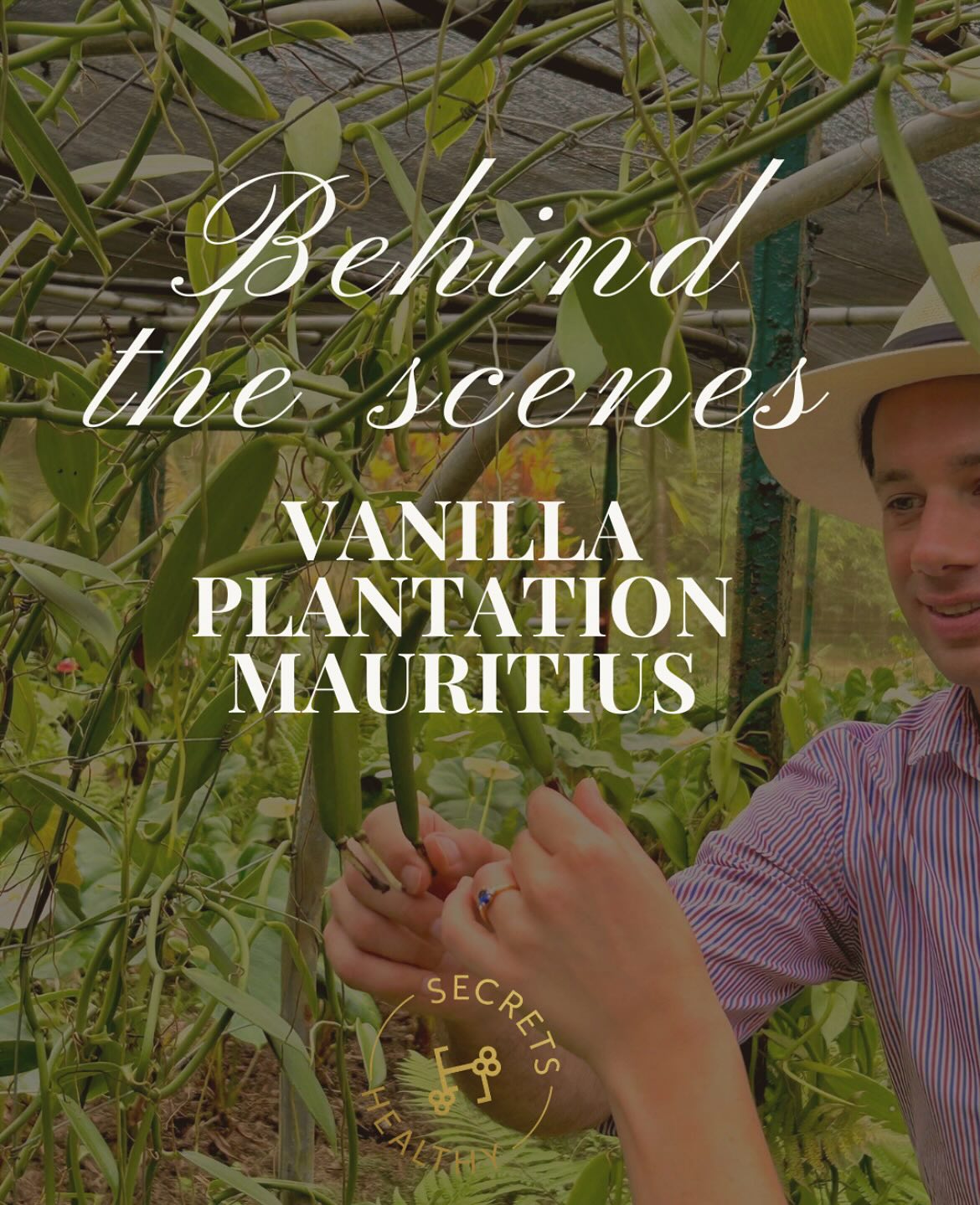 Behind the Secenes - Vanilleplantage auf Mauritius 🌿
Wir durften miterleben, wie echte Bourbon-Vanille angebaut, von Hand geerntet und sorgfältig getrocknet wird und die Menschen kennenlernen, die mit viel Erfahrung und Hingabe hinter jeder einzelnen Schote stehen.
Für Healthy Secrets bedeutet das:
Wir kennen unsere Vanille.
Ihren Ursprung, ihre Qualität und die Menschen, die ihre Qualität, und damit die unserer Produkte möglich machen.
#vanilla#matcha#1000thingstodoinvienna#1000placestoseeinvienna#localbusiness#viennabusiness#wienliebe❤️#wien