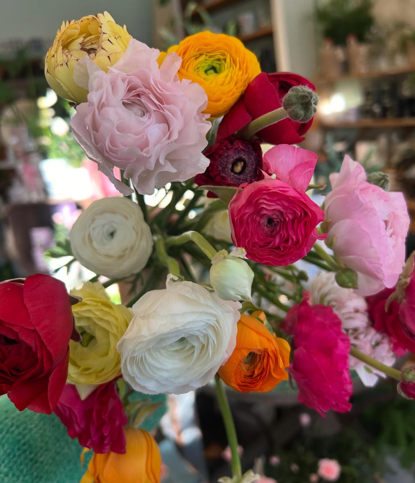 Måndag och en ny vecka framför oss! Dessa färgsprakande karameller kan man ju inte låta bli att unna sig såhär års!
Butiken är stängd måndag och tisdag men webshopen är alltid öppen (länk i profilen) 🥳 där finns massa vårnyheter och snart kommer det in ännu mer nytt! Trevlig måndag 🌸🎉