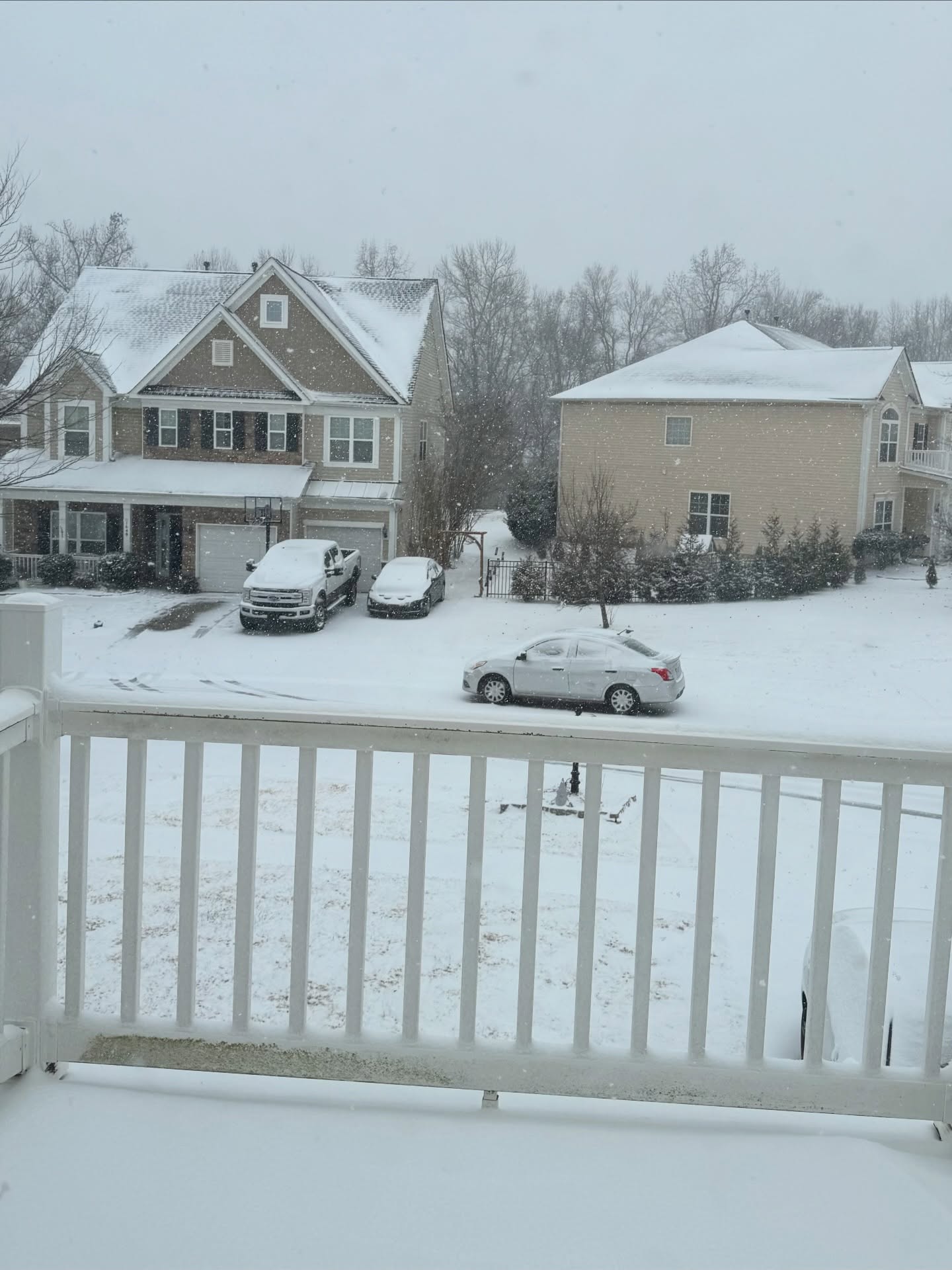 Obligatory southern snow picture! ❄️☃️🌨️