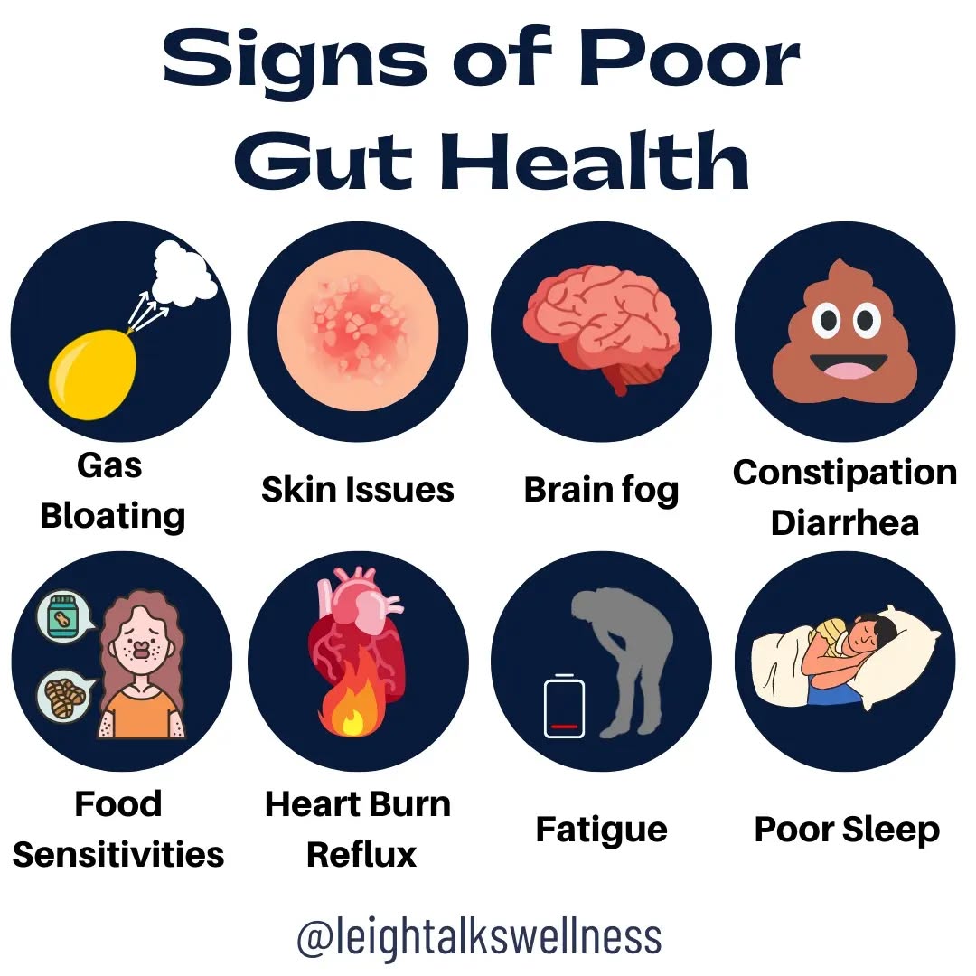 What happens to your gut will affect you on the outside.
Signs of Poor Gut Health
- Gas / Bloating
- Skin issues
- Brain Fog
- Constipation / Diarrhea
- Food Sensitivities
- Reflux / Heart Burn
- Fatigue
- Sleep Issues
These are signs that your gut is not in good health. They are not normal, just because majority of the population are dealing with 1 or more doesn't mean we should neglect and let them be normal part of our lives. Getting to the root cause is what I do, whether it's poor diet, lifestyle habits, stress, toxins or infections.
#guthealth #guthealthtips #guthealthiseverything #guthealing #gutbrainconnection #guthealthiswealth #detox #healthtips #healthpractitioner #healthchoices #healthiswealth #healtheguthealthebody #holisticnutrition #lowtox #livinghealthy