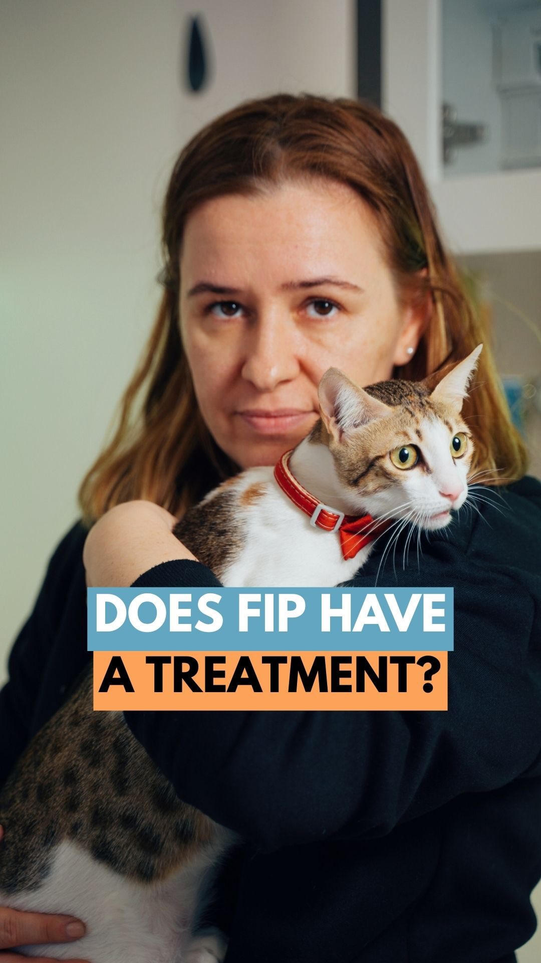 FIP is serious, and often misunderstood, and cases are rising as feline coronavirus mutates into FIP. With awareness, early detection, and extra care, a cat’s life can be saved.
Here in the UAE, treatment involves 84 days of injectables and can cost thousands of dirhams. If a cat adopted through us develops FIP, we at Mike’s Vet remain committed to them and always assist with the cost of treatment. 🩵
@mikesvetdxb
#cathealth #felinehealth #vetlife #vetmed #coronavirus
