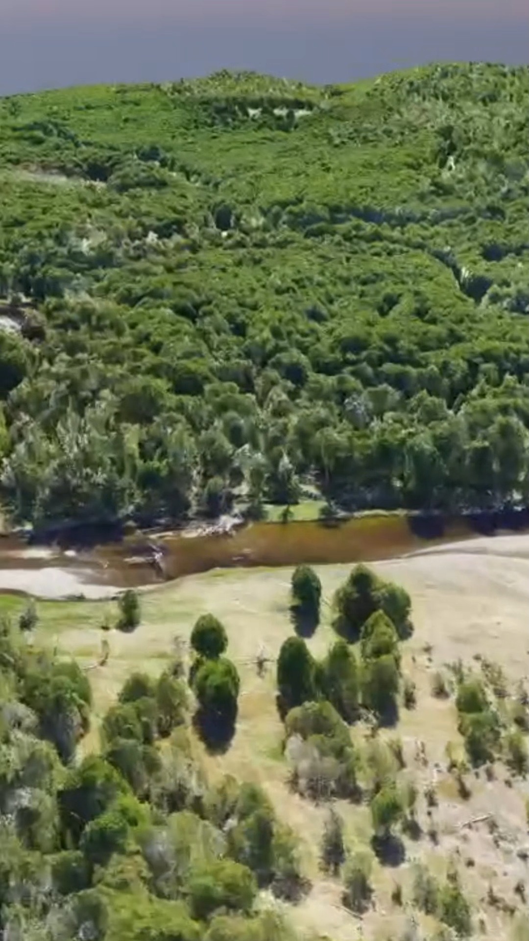 Desde el aire, el río revela su verdadera naturaleza: no es una línea, es un sistema arterial. Esta perspectiva nos permite entender la escala de la conectividad entre el bosque nativo, las zonas de pastoreo y el lecho del río. la ciencia no basta con mirar desde arriba; necesita la profundidad del conocimiento local. Los datos técnicos de caudal y temperatura solo cobran vida cuando se entrelazan con la memoria de quienes han habitado estas orillas por décadas. Es en esa intersección —donde el mapa satelital se encuentra con la historia oral— que nacen las estrategias de conservación más sólidas y respetuosas con el territorio.
#RioRubens #ConservaciónAmbiental #ConocimientoLocal #BosqueNativo #GestiónDelTerritorio #ProtecciónDelAgua #CienciaYComunidad #Ecología #CuencasHidrográficas #Sustentabilidad #HistoriaOral #Patagonia
-----------------------------------------------------------------------------------------
From above, the river reveals its true nature: it’s not just a line, it’s an arterial system. This perspective allows us to understand the scale of connectivity between native forests, grazing lands, and the riverbed. Science isn’t enough from a bird’s-eye view; it requires the depth of local knowledge. Technical data on flow and temperature only come to life when intertwined with the memory of those who have inhabited these banks for decades. It is at this intersection—where the satellite map meets oral history—that the most solid and respectful conservation strategies for the territory are born.
#RubensRiver #EnvironmentalConservation #TraditionalKnowledge #NativeForest #LandStewardship #WaterProtection #ScienceAndCommunity #Ecology #Watershed #Sustainability #OralHistory #ConservationStrategies
