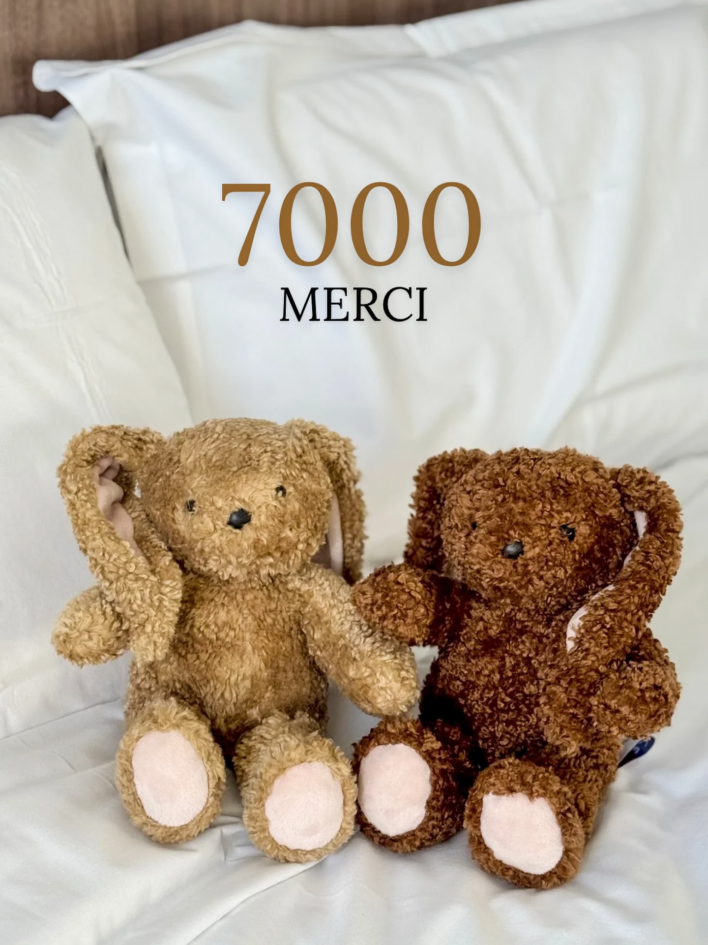 7000 fois merci 🤍
Toute l’équipe des Petites Maries est touchée de vous voir si nombreux à suivre nos aventures.
On vous prépare encore plein de surprises 🤭
#comingsoon #peluche #madeinfrance #followers #nouvellescollections #chateauroux