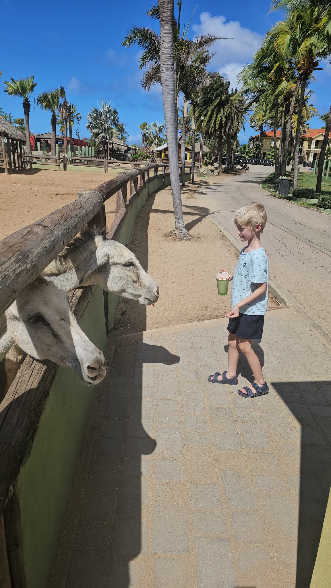 We let our kids explore, and we don’t overthink it. Some of our favorite moments come from slowing down and letting nature lead.
We love giving our kids time to be fully immersed in nature — digging in the soil, playing in the sand, swimming in the lake, feeling the sun on their skin, and catching snowflakes in winter. Traveling lets them experience the world in all its seasons and textures, not just through a screen or a schedule.
Getting outside and exploring new places is a big part of how we make memories as a family. I share realistic, family-friendly trip inspiration on the blog to help make those experiences happen.
Visit my blog to start planning your next getaway!🤍 4ticketstotravel.com
#FamilyTravel
#TravelWithKids
#OutdoorKids
#NatureChildhood
#SlowFamilyLife
#WildAndFreeChildren
#OutsideEverySeason
#RaisingExplorers
#NatureMagic
#EarthChild
#SeasonalMagic
#ForestChild
#MagicOfNature
#WildChild
#NatureLoversFamily