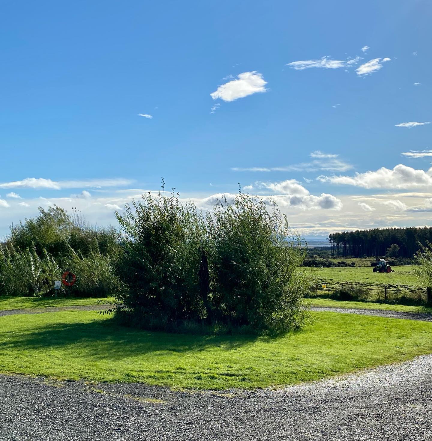 Lovely autumn day today.