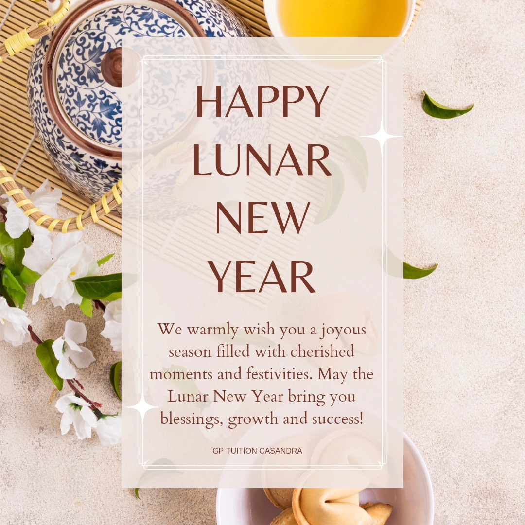 Happy Lunar New Year, everyone! 🥰🍊🍊💕 #CNY #cny2024