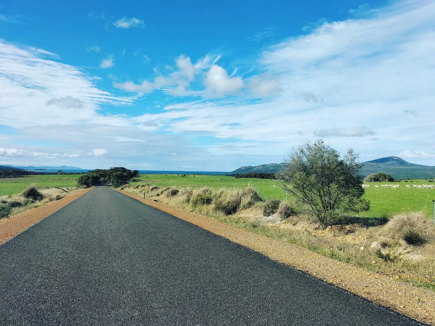 The amazing things you see when you're not rushing to your destination â¨đđą
#vanlife #lifeontheroad #freedomseeker #bluffknoll #beherenow #vandiscoveries #travelingaus #epicviews #beautifuldiscoveries