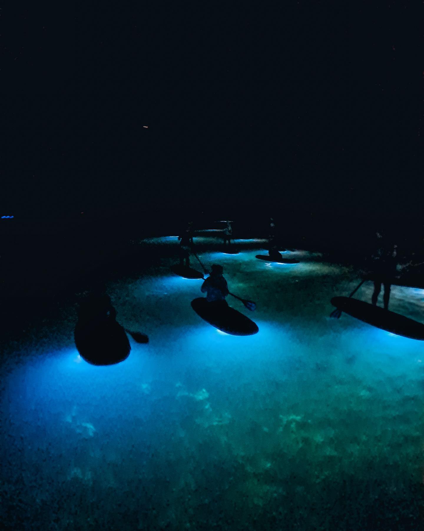 Joninių naktį susitinkame naktiniame ture Molėtuose 🤩⭐️
#varomsupint #gosupnaktiniaiturai #naktiniaiturai #irklentės #Joninės #Molėtai #supturai #suplietuva #suplithuania #irklentes