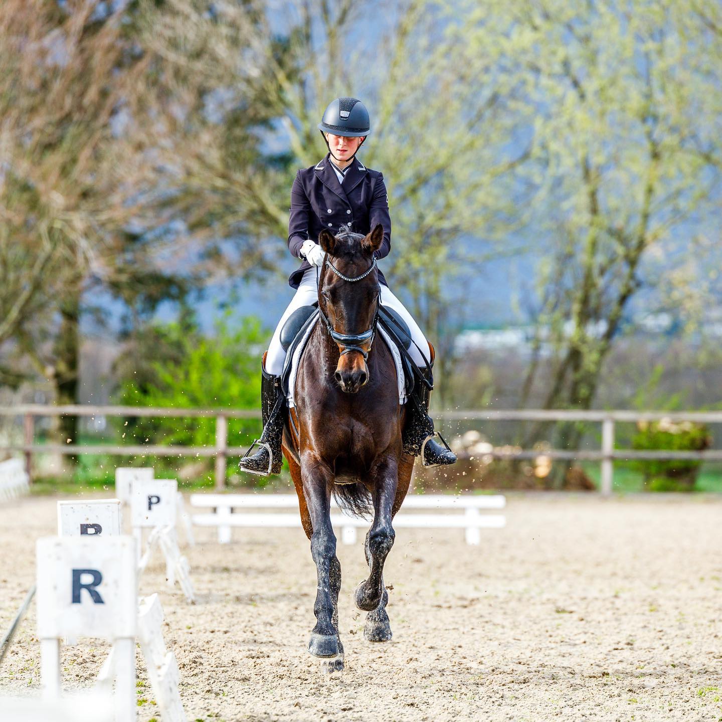 Valentina🖤
Zondag een mooie 4e plaats in onze 2e ZZ-licht wedstrijd met 67%. Valentina maakt enorme stappen de laatste tijd en er is nog genoeg om aan te werken zodat we nog beter worden. In het galop gedeelte kan ze nog wel eens wat heet worden🥵
We kijken uit naar de volgende wedstrijden samen!☺️