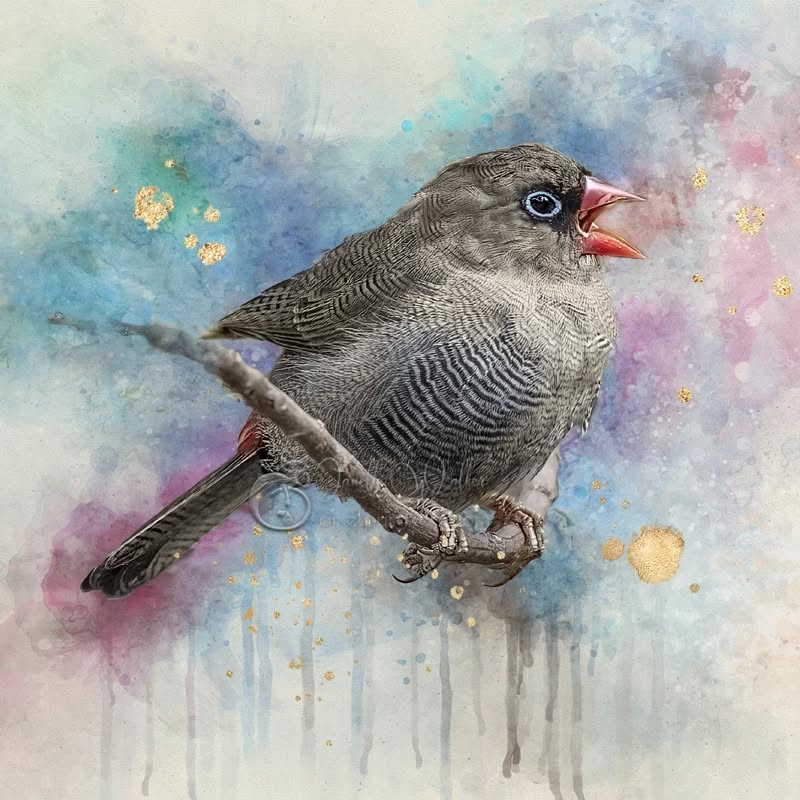 The best and most beautiful things in this world cannot be seen or even touched - they must be felt with the heart.
- Helen Keller
.
.
.
.
.
.
.
.
.
.
.
#BeautifulFiretail #pixelpurrrfectphotography #exquisitepics20_australia #rebel_artandedits #mcl_arts #illustrious_art #artistry_flair #super_photoeditz #edit_lovers_united #wildlife_artistry #birdsofaustralia #Creative_AnimalArt #bpa_arts #photo_creation_silver #rebels_nature #rebels_united #explore_wildlife #art_andfact #galleria_of_grace #illustrious_magic #dreamland_arts_of_nature #rawedit_ #exquisitepics20_animals #australianbirds #wildlife_artists #everything_animals #nature_perfection #everything_imaginable #gf_edits #pictasart