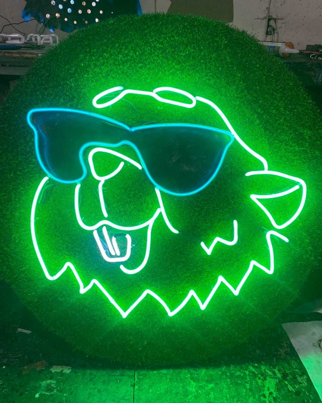 Season for golf. Bad caddy