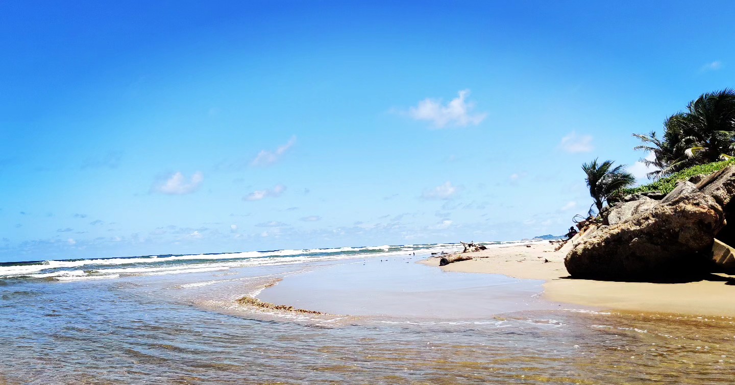 Island life 🏝️
