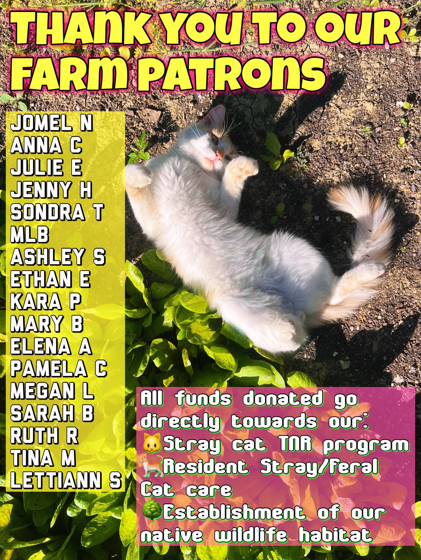 Shout out to all those who have donated to our stray cat and wildlife habitat fund! If you’ve donated and you don’t see your name here, shoot me a message - I’ll be hosting a long-overdue “thank you pizza night” on the farm. Date tbd.