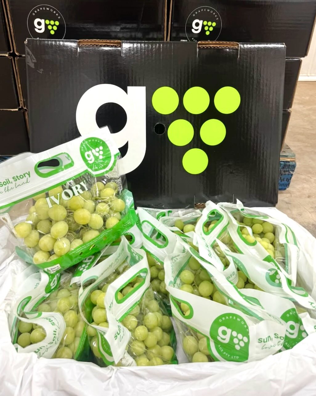 CUSTOM DESIGN 🍇
Admiring this amazing logo, bag design and box design we did for our customer @grape_works_aus
Great grapes deserve great packaging 🙌
Our in house team can help you with all your design needs:
• Logo design
• Branding
• Bunch Bag Design
• Box Designs
As well as source all of the packaging from our suppliers.
Check out our page for more info:
Grapecare.au/packaging
#tablegrapes #mildura