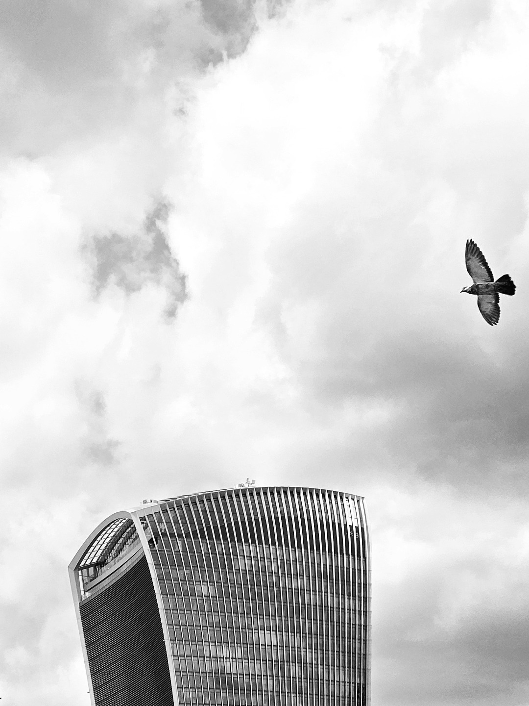 Time to spread your wings, come what may 🪽
#London #UnitedKingdom🇬🇧