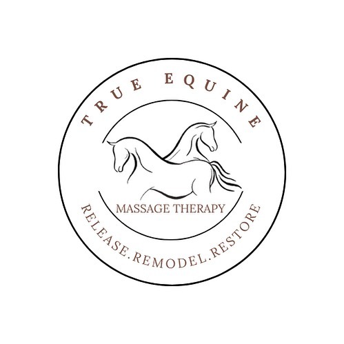 Tennessee Equine Bodyworkers!!!
Happy New Year!
I have the opportunity to speak to the Music City Farriers Association in a few weeks about “Feet & Fascia”. Farriers from all over Tennessee will be in attendance. I would love to put together a “directory” of bodyworkers who are willing to collaborate with farriers (veterinarians and equine dentists) to help move horses toward looking and feeling their best!
If you would like to be included in this list, please MESSAGE your information to me IN THIS ORDER by January 10, 2024:
Name, phone number, email, type of bodywork you do, area/travel radius.
I will post this info for the farriers when I speak, and pass it along to other equine professionals as the opportunity presents itself.
Please tag any bodyworkers you know who might want to be added to this list. TENNESSEE EQUINE BODYWORKERS ONLY, PLEASE!
Thanks ~ Martha Stowe (True Equine)
#tennesseeequinebodyworkers #equinemassage