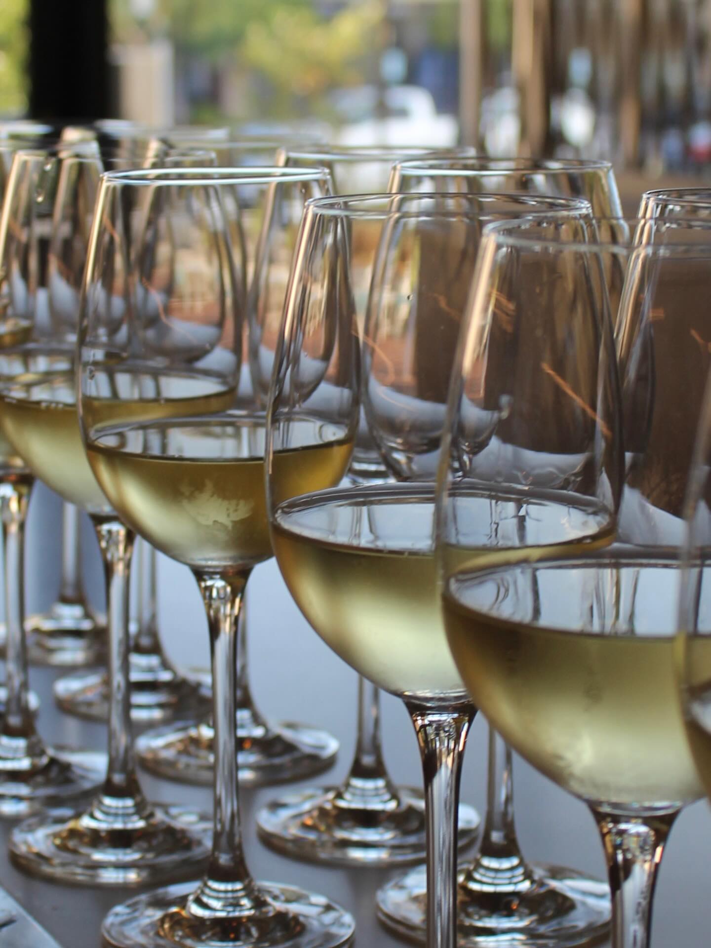 Kick off the 2026 Winter Olympics in true Italian style with a Mini Wine Dinner hosted by the fabulous Harry Tatian on February 5th! Be sure to make your reservations soon! Step out next week and indulge in delightful wine and delicious food! $55pp. Note “MWD” in reservation notes!