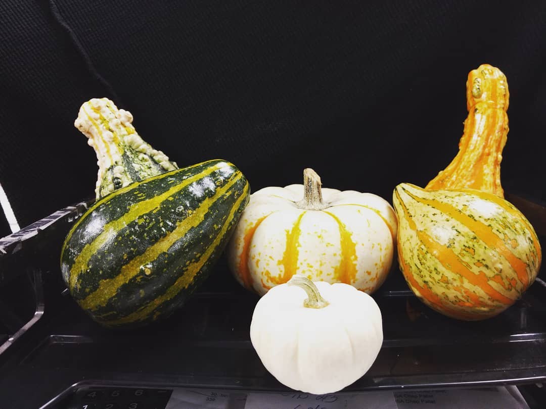 #halloween #gourds #SGSProduce