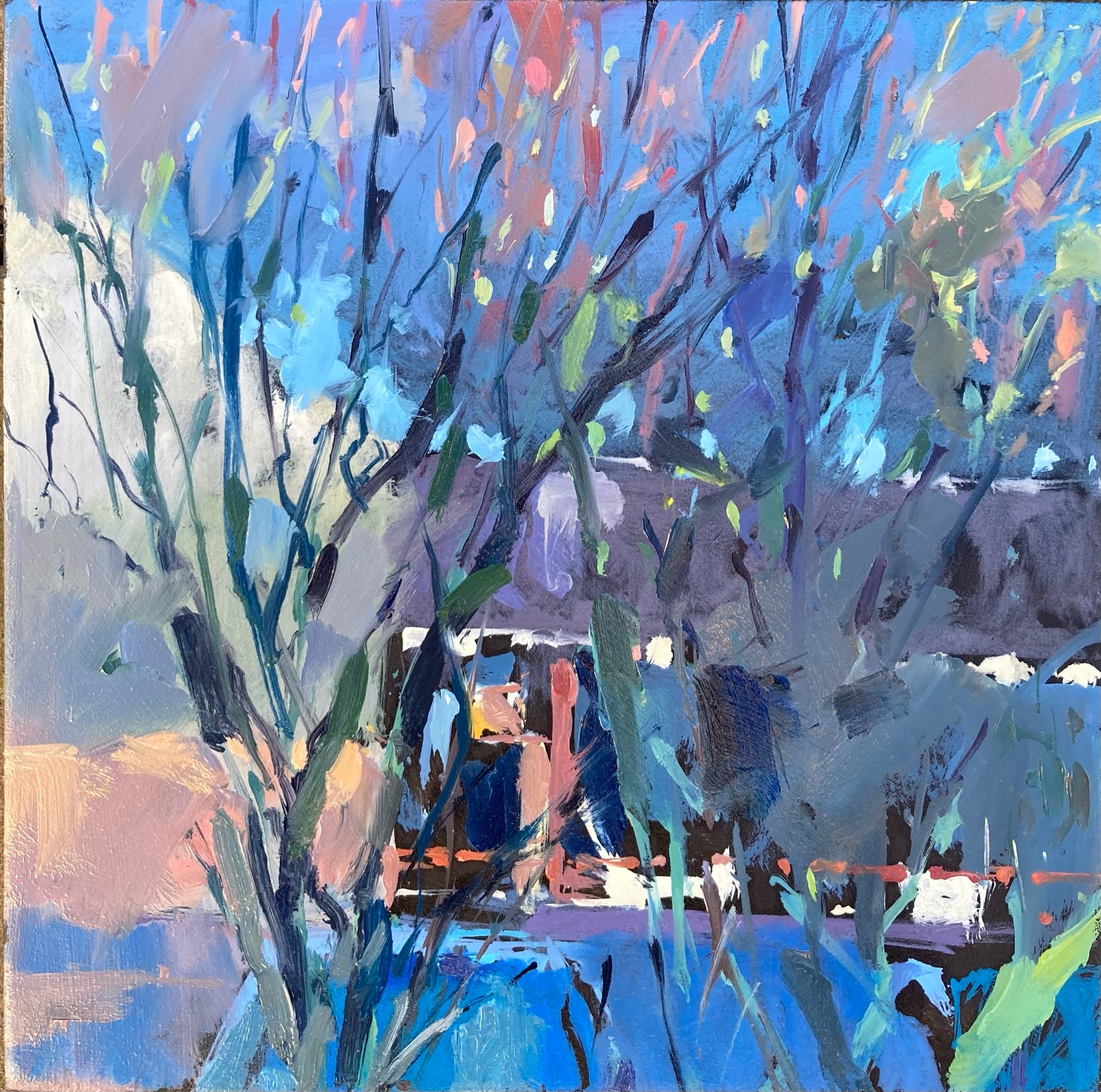 I really enjoyed trying to get some of those early morning colours that we’re hitting me from the low sun, also a lot warmer too!