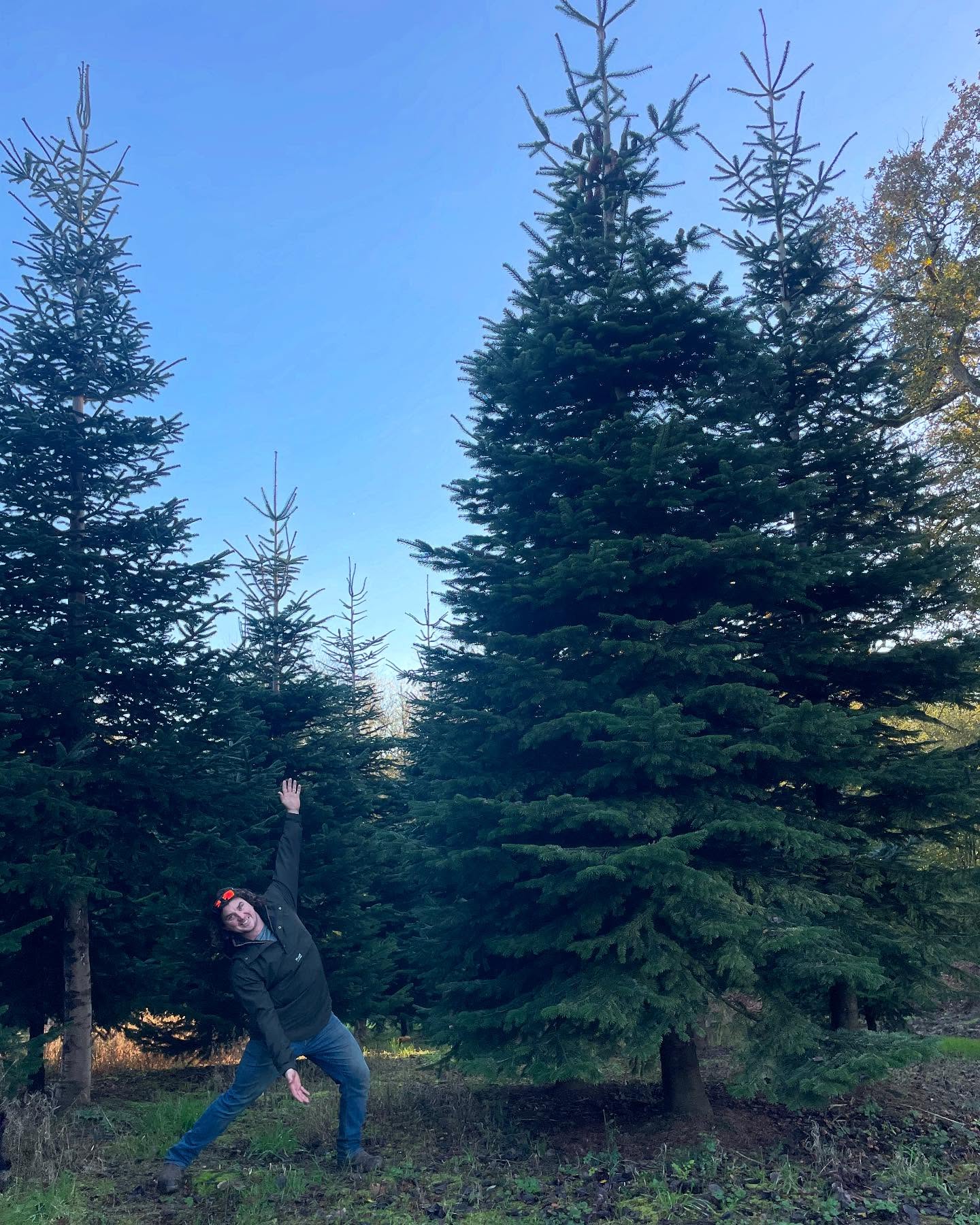 Dreaming of a BIG Christmas? We’ve got you covered!
While our website lists trees up to 10ft, we can go even bigger! 🌟 Whether you need a 12ft, 14ft, 18ft, or an even taller showstopper, we can make it happen.
🎅 Email us directly to discuss your giant Christmas tree needs: info@thexmastreeboys.net
Brighton and Hove Christmas Tree delivery or pick up from Concorde2🎄 Sussex-grown trees 🌎 www.thexmastreeboys.net