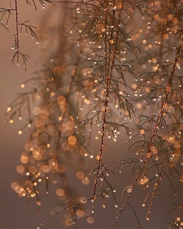 May this year sprinkle you with fairy dust and magic ✨
📸via @pinterest
.
.
.
#mylittlemonkeygr #mylittlemonkey #nursery #decor #baby #conceptstore #nurserygift #newborn #organiccotton #handmade #kids #kidsinterior #decorations #natural #rattle #homewear #essentials #sustainableliving #decorations #mrlion #linen #pramtoy #pillow #linen #motherhood #apple #pear #kidsinpo #homedecor #babyshowergift #ethicallymade #newborngifts