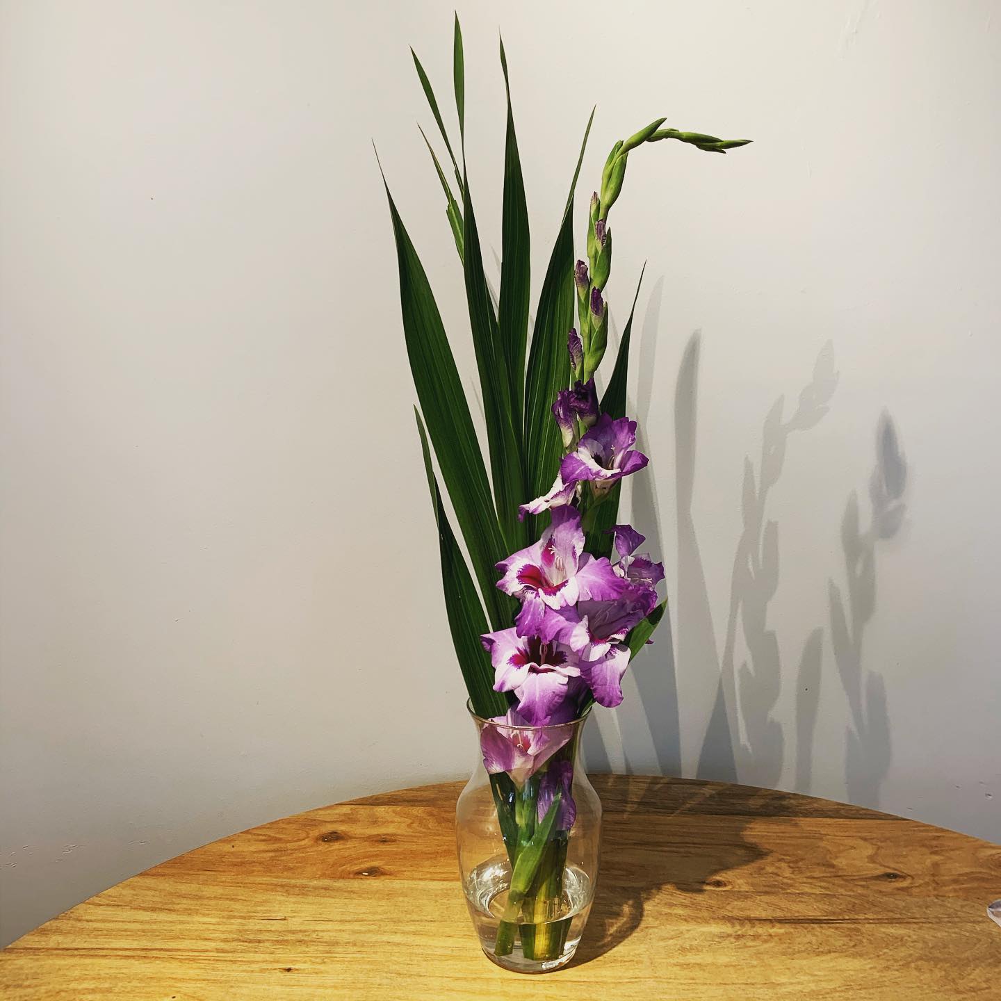 A little natural beauty #freshcut #freshcutflowers #interiordesign #gladiolus