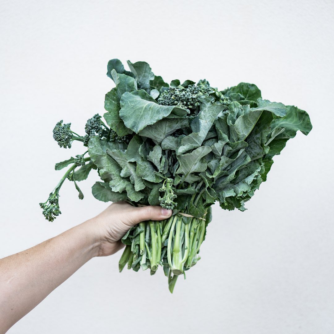 Do you eat veggies in the morning? 🌞
Most of us are pretty good at getting at least some in at lunch or with dinner, but probably wouldn’t consider vegetables as typical “breakfast” food.
However, if you’re trying to shoot for those 6+ servings of F&V per day (as we all should be 🤓) breakfast is a great opportunity to get more in.
My favourite ways to incorporate morning veggies:
🌱A smoothie – blending in some greens like spinach or kale, or using a greens powder. Real food is always better, but sometimes this is just a quicker, easier option. (Or maybe you’re like me and making smoothies out of a very old magic bullet that doesn’t always blend leaves in too well 😂 – a powder makes for a much better texture!)
🌱Add shredded carrot or zucchini to oatmeal / chia puddings, or baked goods like muffins. These don’t add a ton of flavour or change the texture too much, and also go well with cinnamon if you still prefer a sweeter breakfast.
🌱If you’re an egg person, load up your omelet or scrambled eggs with chopped veggies, or before frying eggs, fry up some other veg of choice as a side.
🌱If you’re a toast person, sautée some greens or mushrooms while your toast is toasting, to add as a topping (maybe with some 🥑) or have on the side.
🌱Have some leftovers! Save some roasted veggies like sweet potatoes, broccoli, cauliflower, peppers, etc from dinner the night before to have as a side with your normal breakfast.
What are your fav ways to get your veggies in? 🥦