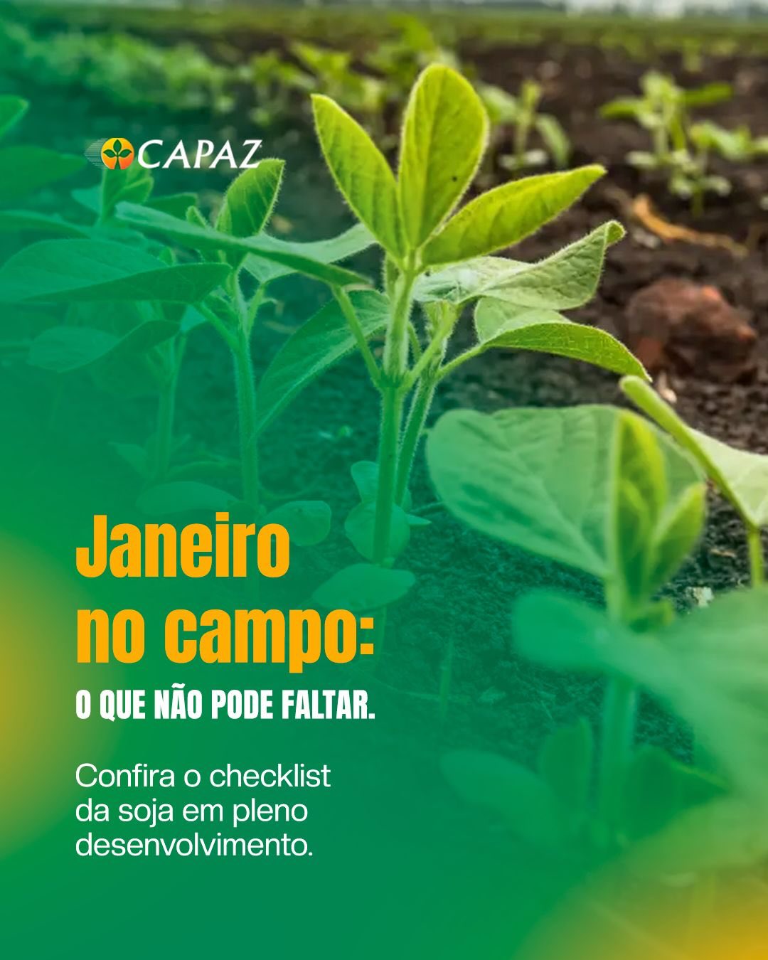 O campo responde a quem cuida.
Janeiro é o mês em que a soja mostra tudo o que recebeu até aqui, e tudo o que ainda precisa. É hora de avaliar o estande, garantir sanidade, manter a nutrição foliar em dia e ajustar o manejo conforme o clima.
Cada decisão conta, e o acompanhamento técnico da Capaz mantém a lavoura equilibrada, vigorosa e pronta para avançar para o próximo estágio. 🌾✨
#capaz #agro #soja #nutriçãofoliar #fortgreen