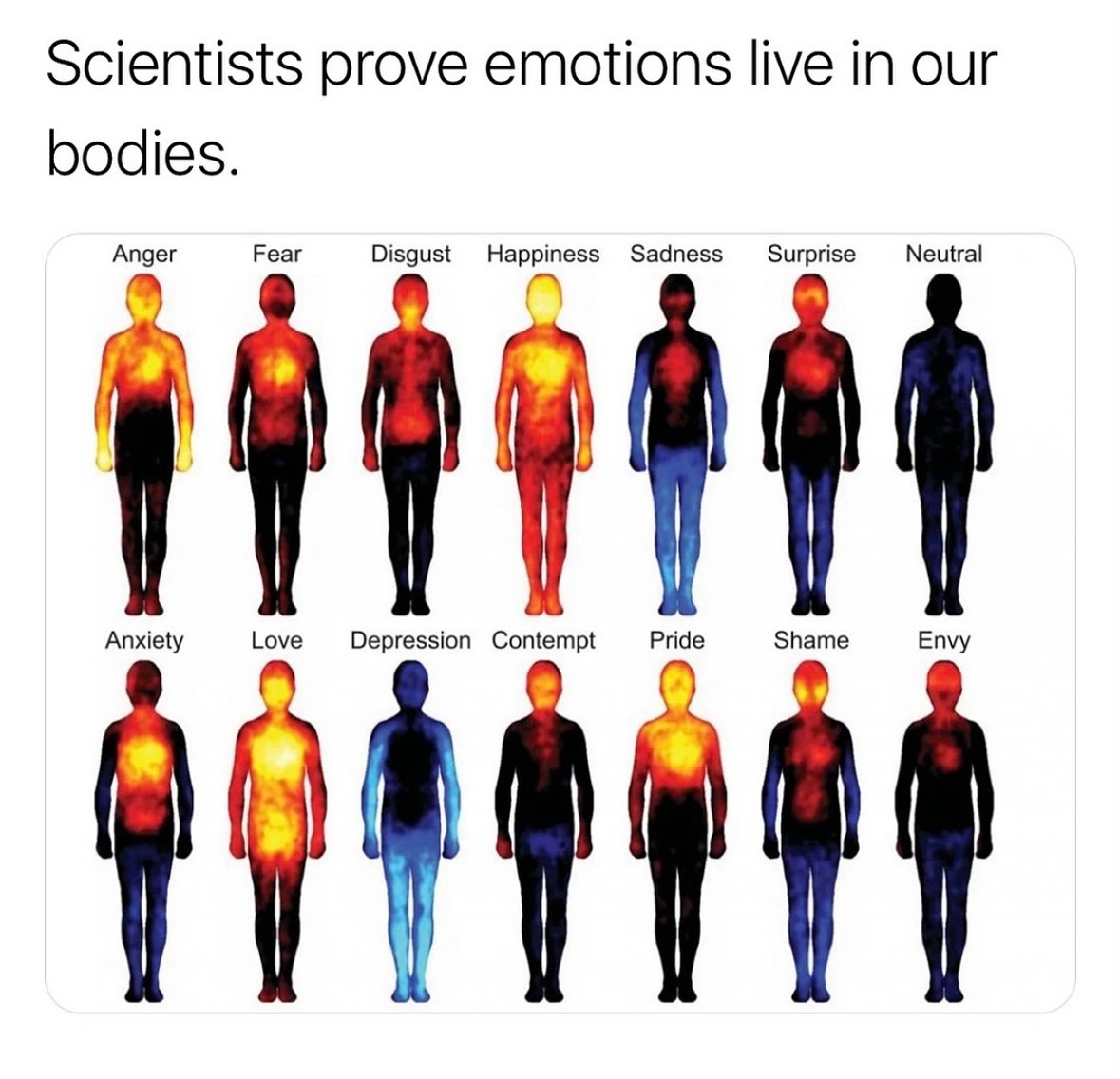 Emotions don’t just live in our minds, they show up in our bodies too. This image reflects how people commonly experience emotions as physical sensations.
Warm colours (reds and yellows) show areas of increased activation, while cooler colours (blues and darker tones) represent reduced sensation.
Noticing where you feel emotions can be a powerful first step toward understanding and regulating them 🤍
Image based on research by Lauri Nummenmaa and colleagues at Aalto University, published in Proceedings of the National Academy of Sciences (2013).