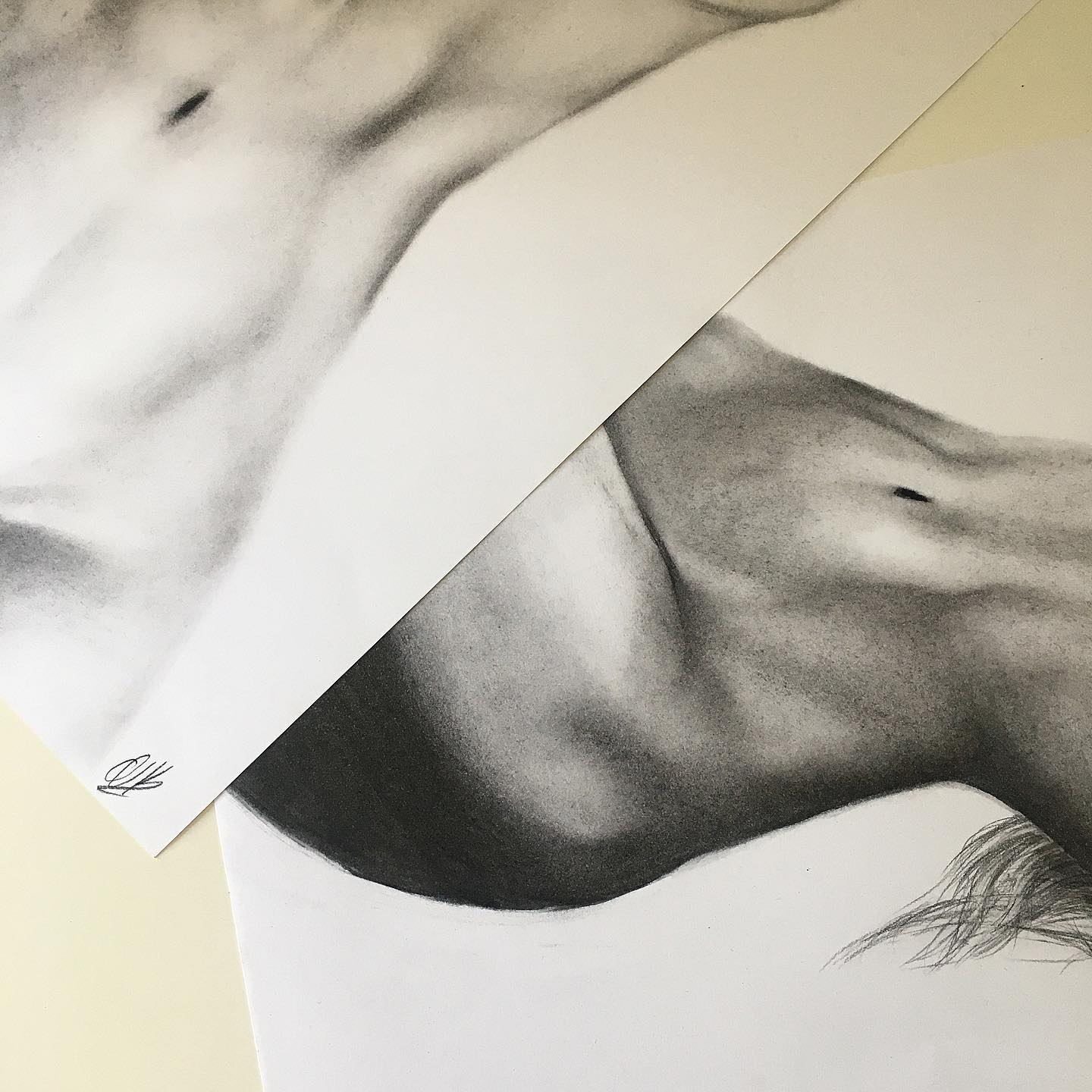 A couple of nude charcoal studies that might just make an appearance at the #sussexartfairs2021 exhibition 🌼
.
.
.
.
.
.
.
#nudeart #charcoal #charcoaldrawings #artwork #artistsoninstagram #charcoalstudies #nudestudies #A3drawings #A3art #paperdrawing #modernart #sussexartfairs #portraitart #portraitdrawings #sketch #contrast #contrastdrawings #artistatwork #femaleartist #femalefigure #femalebody #body #curves #beautiful #beautifulbodies