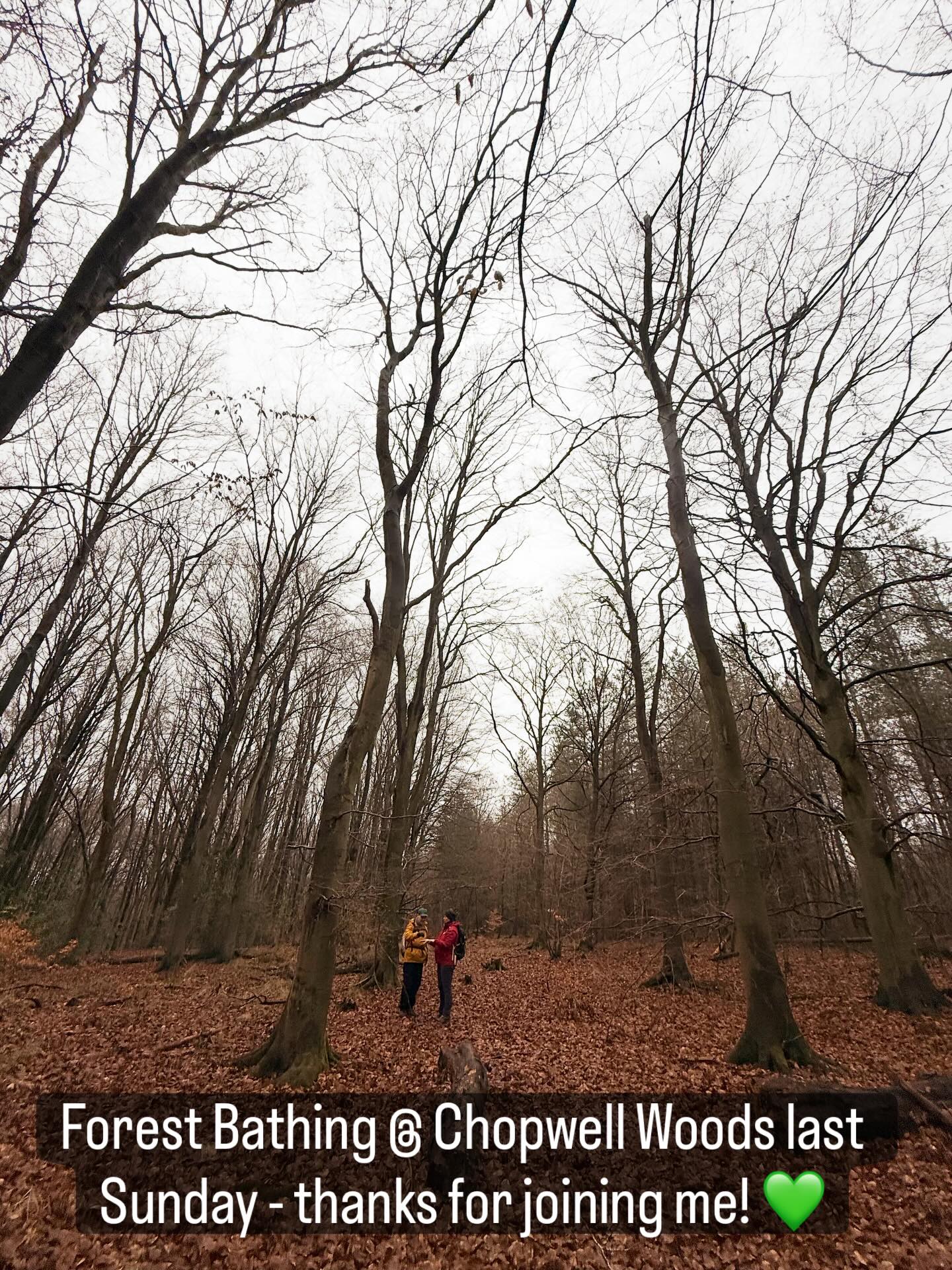 The next one is on Sunday 22nd Feb @ Chopwell Woods 1-3pm.
www.alltogetherwild.co.uk/event
@alltogetherwild