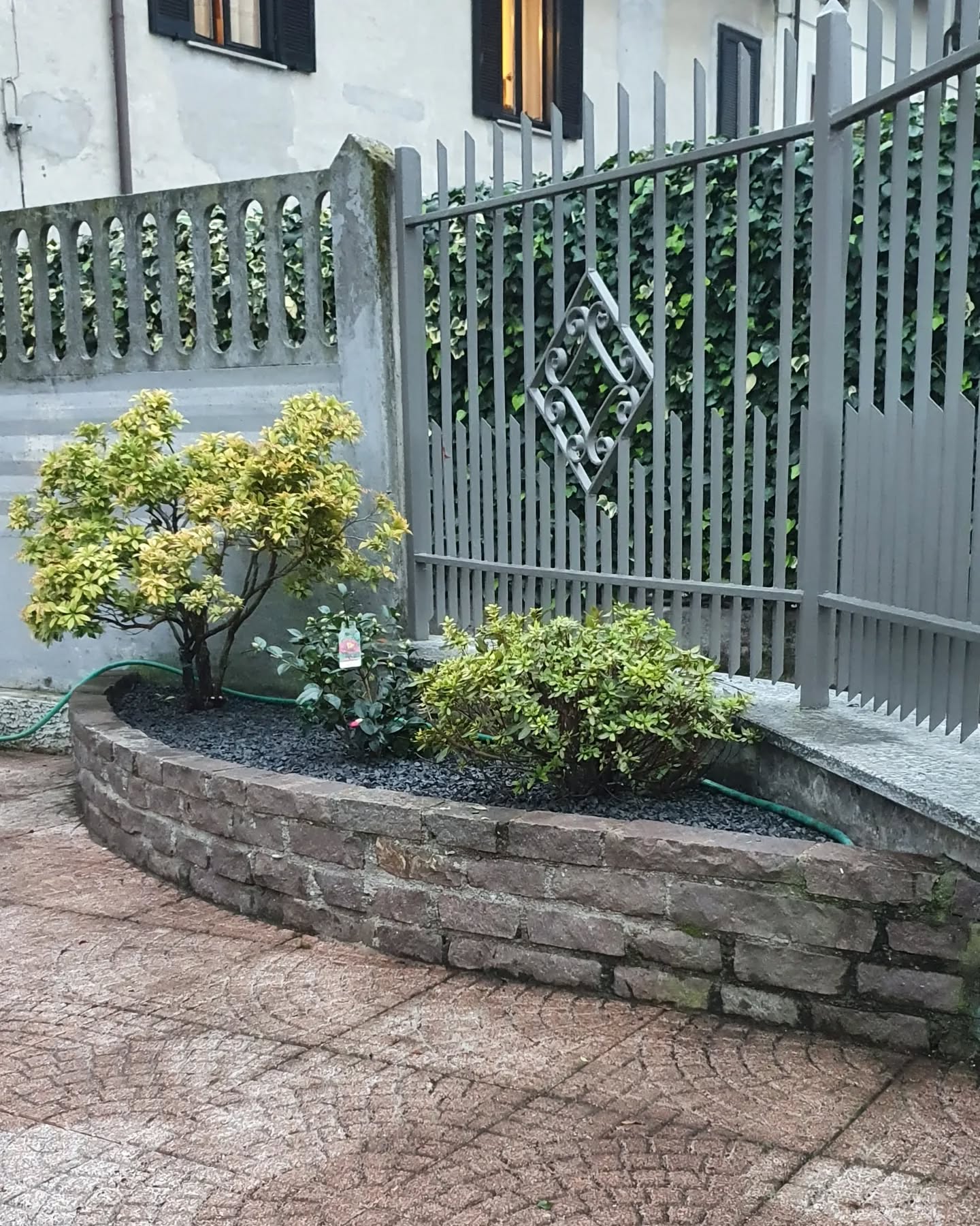 Realizzazione aiuola rialzata.
.
.
.
.
#aiuola #fiori #giardino #garden #piante #verde #aiuole #giardinaggio #giardini #flowers #green #prato #giardiniere #giardinieri #manutenzione #aiuolafiorita #gardening # #giadiniere #plants #landscape #granulati potatura# siepi