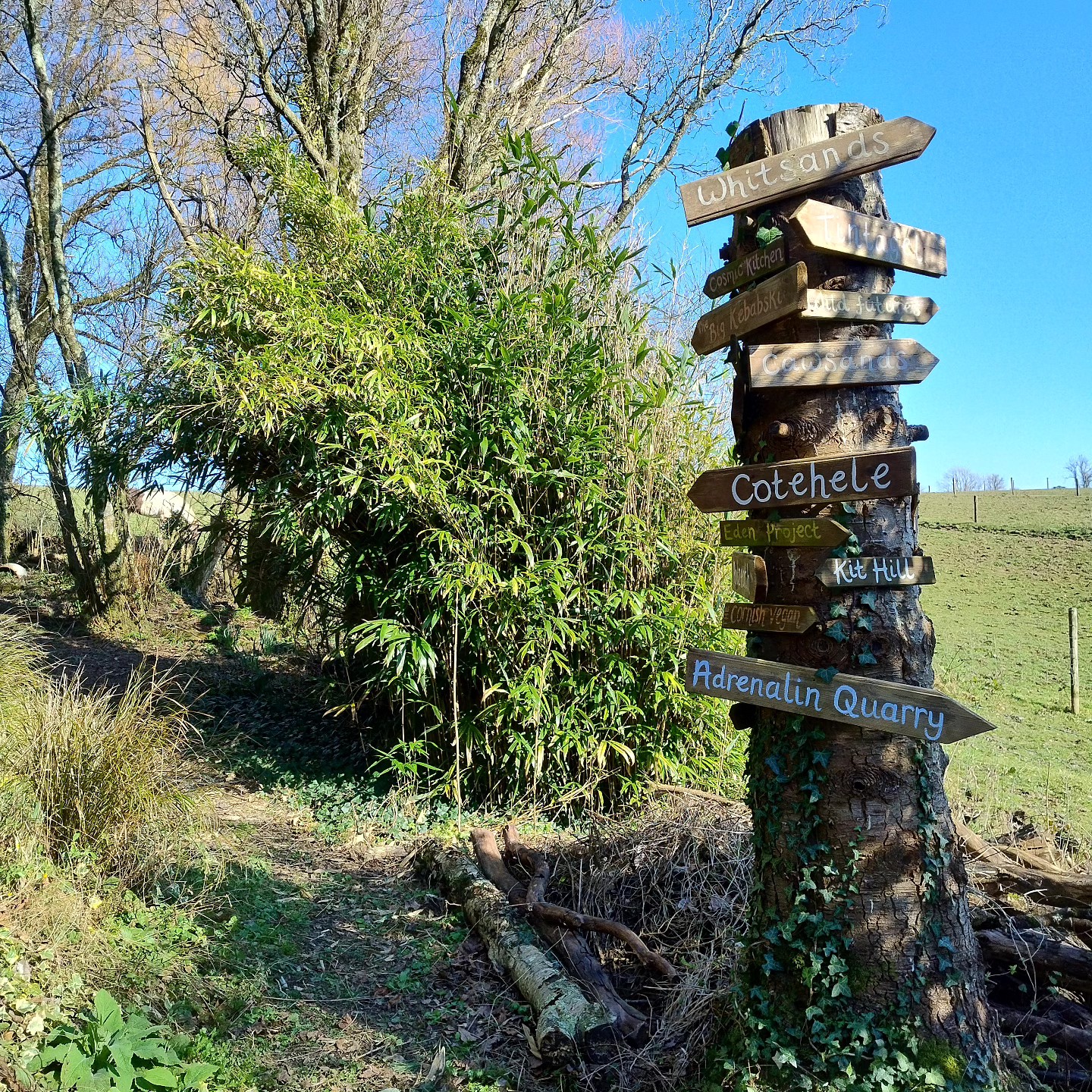 Our 'Wondering Tree' vamped up for this year's Spring guests 💚
We love hosting people from all over the world in our Glamping pods and highly recommend our favourite places to visit.
If you are looking for somewhere to swim outdoors, walk, surf, learn and explore nature go no further than our Wondering Tree for ideas locally 🌞