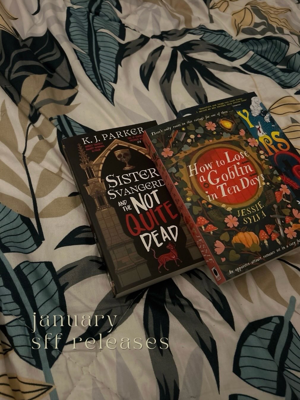 sff releases published this past january i’m excited about!
bc looking forward to reading books that spark something in you is a unique feeling 🤍
*= special thank you to @orbitbooks_uk @littlebrownbookgroup_uk for sending me these finished copies for review
Orbit has continuously released amazing titles over the years (including *ahem* my favorite series ever, Green Bone Saga and new faves that have yet to be released 👀) so i’ve been eagerly keeping my eye on their releases 💚
———
STANDALONES
january 6 - the swan’s daughter
(already currently reading)
january 20 - how to lose a goblin in 10 days*
january 20 - the poet empress
(climbed my TBR after all the glowing reviews)
january 20 - a wild radiance
FIRST IN A SERIES
january 13 - city of others*
janaury 27 - sister svangerd and the not quite dead*