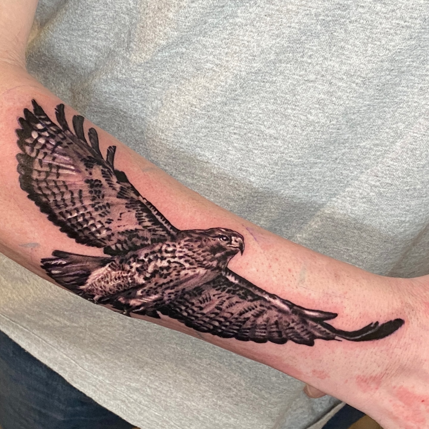 Had a blast on this "one-off"! I don't usually do a lot of single reference without background pieces but it is possible. It is one good way of working some realism into a sticker sleeve. Thanks for looking!
.
.
Follow @scottie.tattooer
And @nectarfinetattooing
.
.
#birdsofprey #albertabirds #albertabirding #albertatattoo #yqlarts