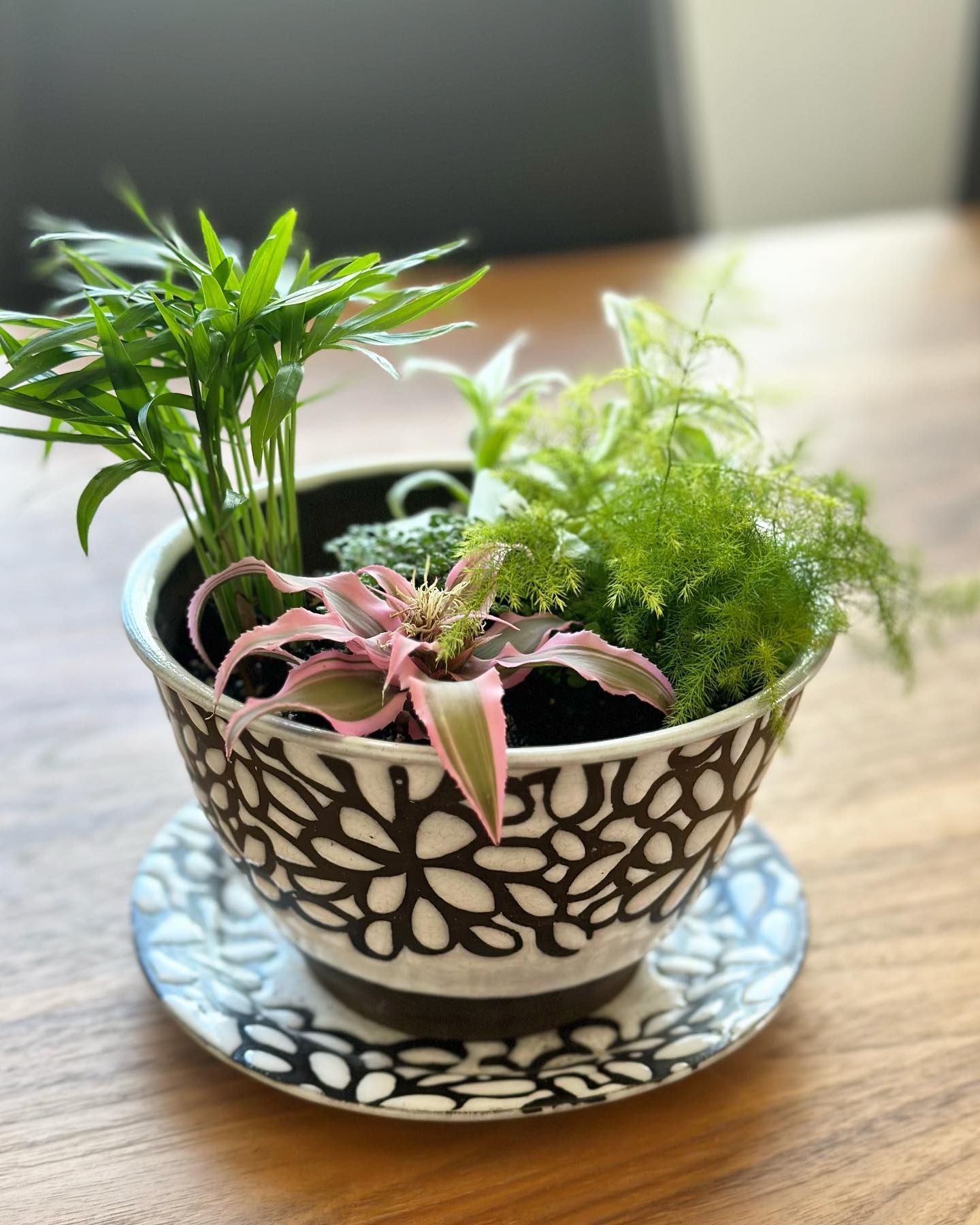 I’m in love with this Japanese garden Koren planted 💗 #pottery #ceramics #ceramicdesign #potterylove #floraldesign #modernfloral #planter #indoorgarden @korenlockwood
