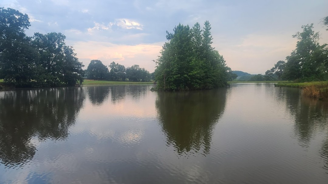 Soo much beauty here. We love to share it with other horse people. Come ride for a day. #alabamahorsetrails