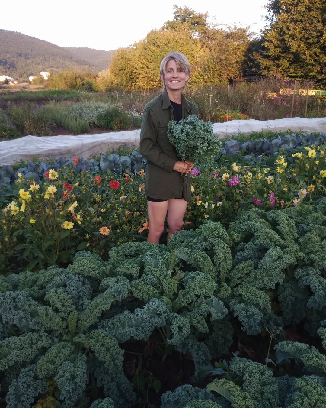 Grünkohl Blumen Berge 🌈
