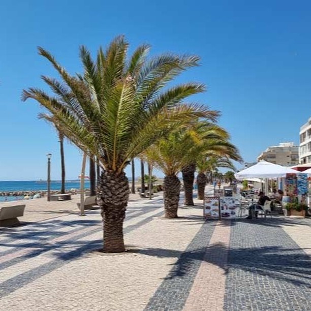 Quarteira Beach ☀️🏖️