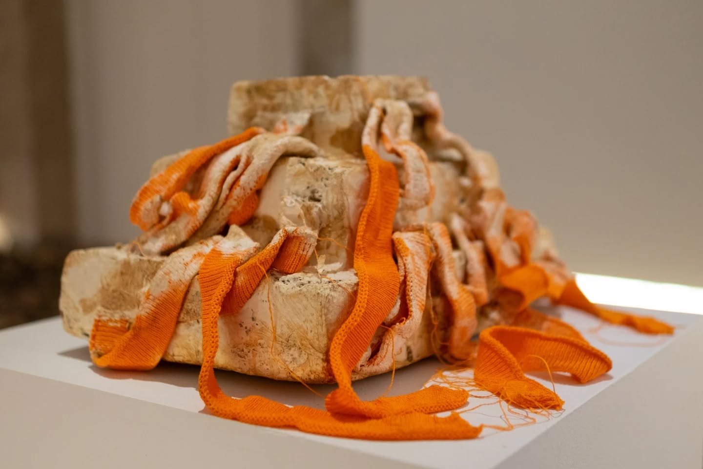 After the Remains Ⅱ
Year: 2025
Medium: Fabric, Straw, and Mycelium
Dimensions: 42 × 28 × 28 cm
Title: After the Remains Ⅲ
Year: 2025
Medium: Fabric, Straw, and Mycelium
Dimensions: 28 × 28 × 17 cm
Artist bio:
Zixiang Zhang is a London-based BioArt artist whose work focuses on integrating biological materials into contemporary artistic practice. Her practice explores the relationship between human-made and natural substances through materials such as textile waste and mycelium. Central to her work are themes of collaboration, transformation, and regeneration presented as evolving ecological structures.
Her works have been exhibited across the UK, Europe, and China, and have been featured in exhibitions centered on ecological art, sustainable materials, and interdisciplinary dialogue. By incorporating living matter, she shifts sculpture from static form to process-based structures that examine material life cycles and the boundaries between human activity and natural systems.
Her approach emphasises reduced artistic control, allowing natural processes to shape outcomes over time. Her practice contributes to broader discussions on the role of the artist in ecological contexts and supports dialogue between art, science, and environmental research.
Pieces exhibited at Nature Doesn't Draw Straight Lines at Galeria Municipal Jovem, Vila Franca de Xira
Photos by: @plantextile